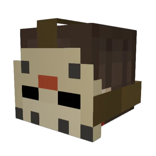 SpookyDinFace Minecraft avatar head, 3D render