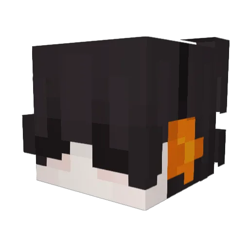 SpookyFiwm Minecraft avatar head, 3D render