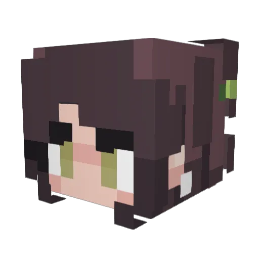 SpookyMaus2009 Minecraft avatar head, 3D render