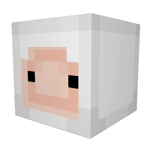 SpookyNerfer Minecraft avatar head, 3D render