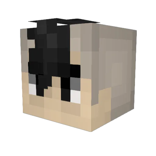 SpookyRub Minecraft avatar head, 3D render