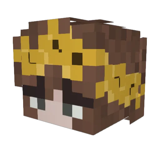 SpookySunflowr Minecraft avatar head, 3D render