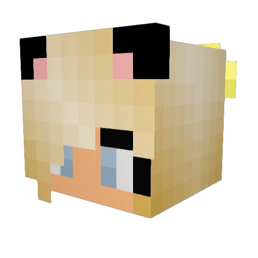 Spooky_7x Minecraft avatar head, 3D render