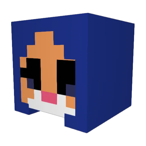 Spooky_Birdy Minecraft avatar head, 3D render