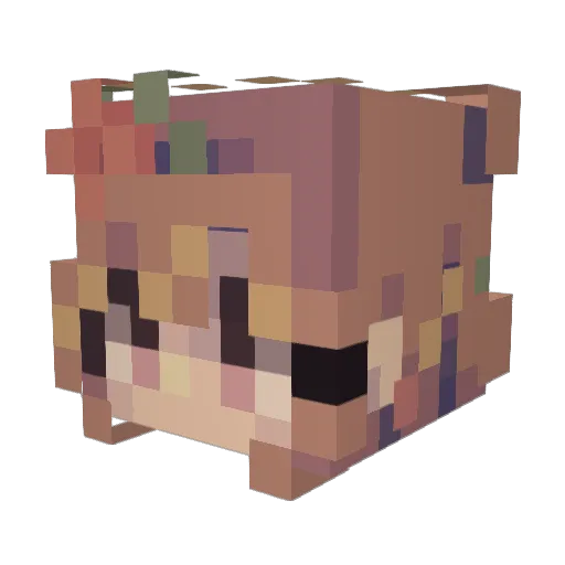 Spooky_BobRoss Minecraft avatar head, 3D render