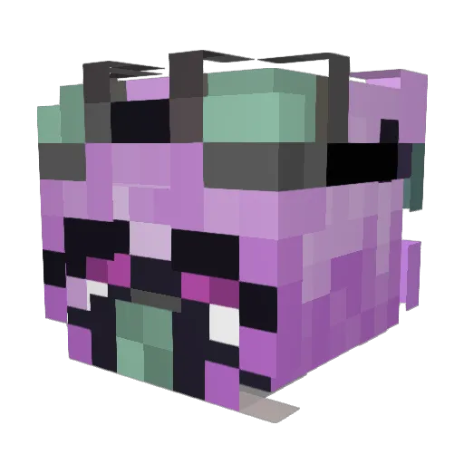 Spooky__Beans Minecraft avatar head, 3D render