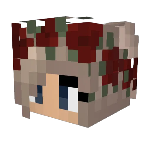 Spooky_bb Minecraft avatar head, 3D render