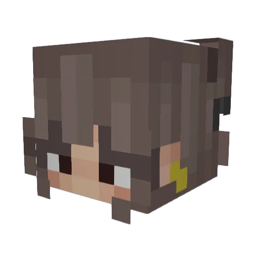 Spookybat54 Minecraft avatar head, 3D render