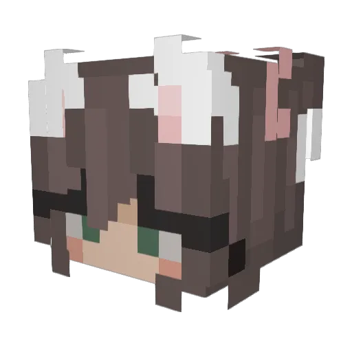 Spookyfin420 Minecraft avatar head, 3D render