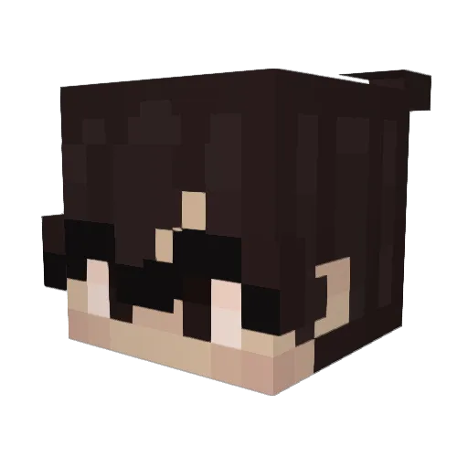 SpoonB0x_ Minecraft avatar head, 3D render
