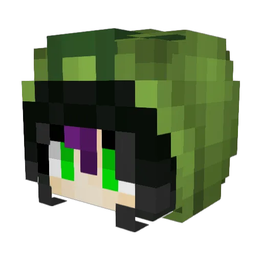 SpoonMaster71 Minecraft avatar head, 3D render