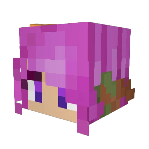 SpoonMaster77 Minecraft avatar head, 3D render