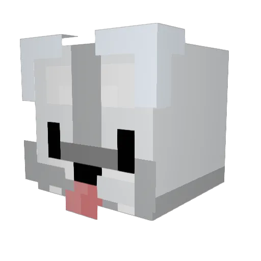 SpoonYo Minecraft avatar head, 3D render