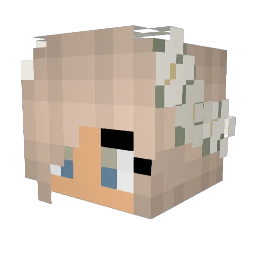 Spooniepants Minecraft avatar head, 3D render