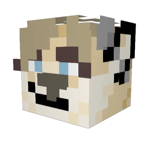 Spoonydoodle Minecraft avatar head, 3D render