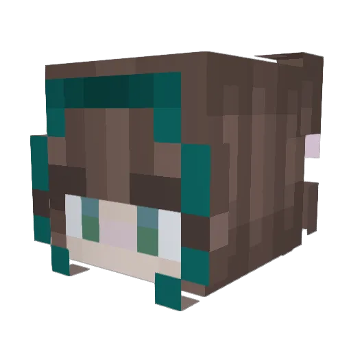 Spoookie0o0 Minecraft avatar head, 3D render