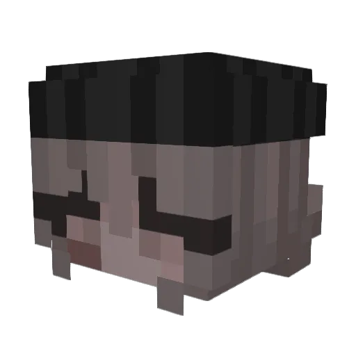 Spoooon_ Minecraft avatar head, 3D render