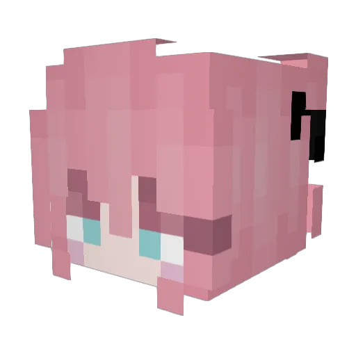 Spooooop Minecraft avatar head, 3D render