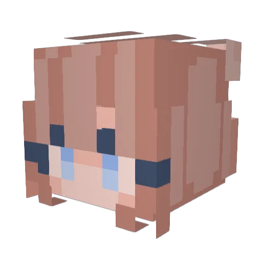 SpoopySplodge Minecraft avatar head, 3D render