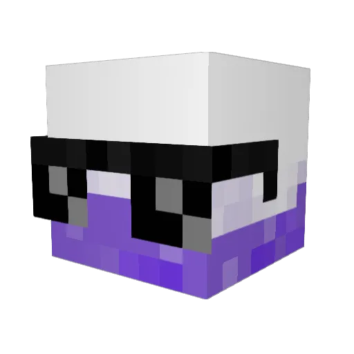 Spooxer Minecraft avatar head, 3D render