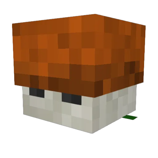 Sporeboy Minecraft avatar head, 3D render