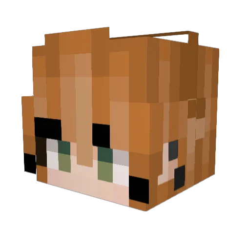 Spork1337 Minecraft avatar head, 3D render