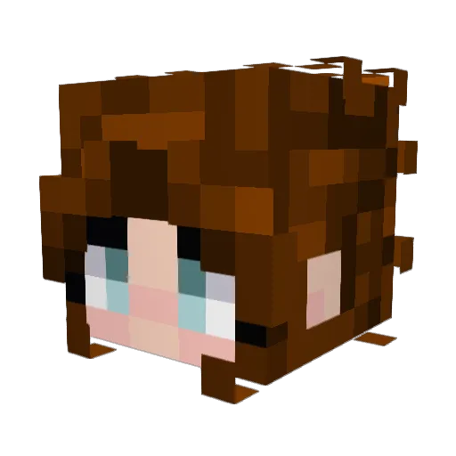 SporkFlower Minecraft avatar head, 3D render