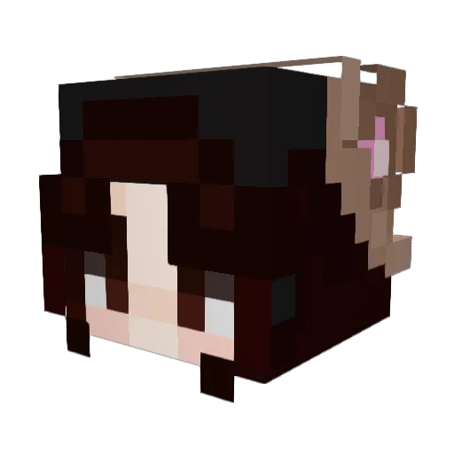 Sporkachu Minecraft avatar head, 3D render