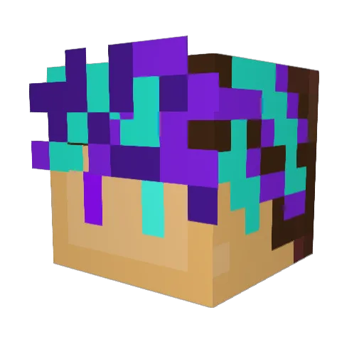 Sporkisnothere Minecraft avatar head, 3D render