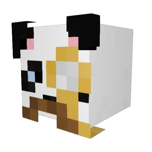 SportingSherman Minecraft avatar head, 3D render