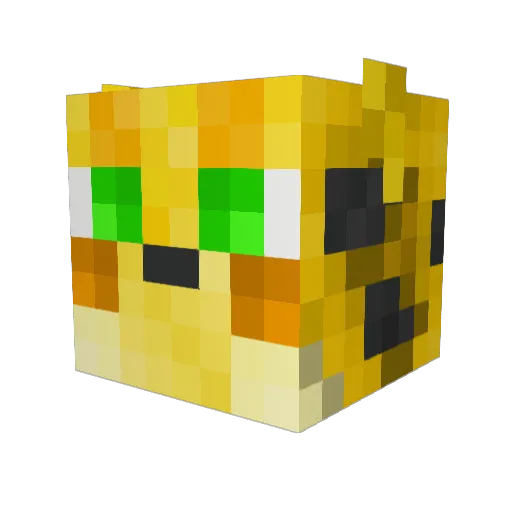 SportsLover6 Minecraft avatar head, 3D render