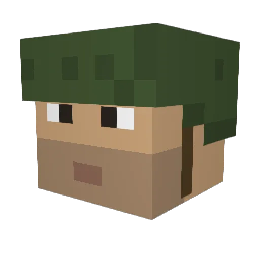 Sports_Law27 Minecraft avatar head, 3D render