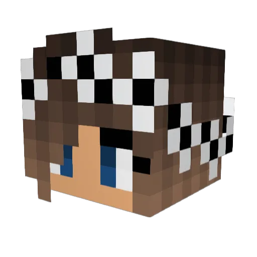 SportyGamer007 Minecraft avatar head, 3D render