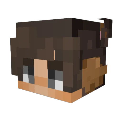 Spot2980 Minecraft avatar head, 3D render
