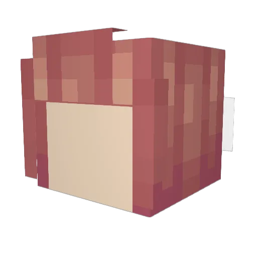 Spote_ Minecraft avatar head, 3D render