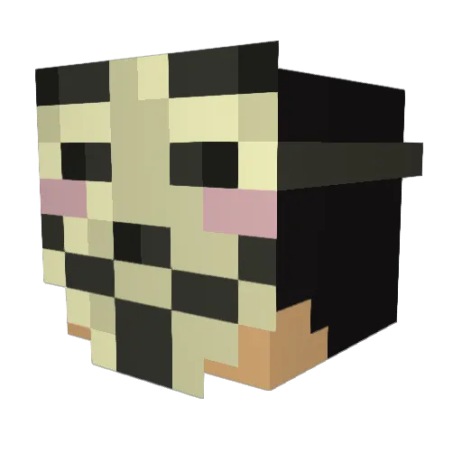 Spotify_dude Minecraft avatar head, 3D render