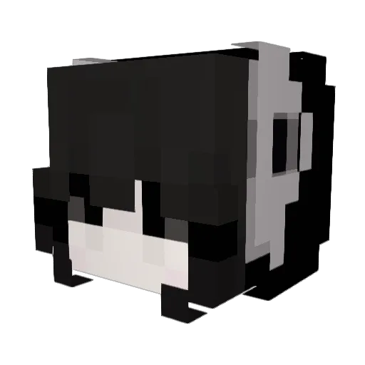 Spottin Minecraft avatar head, 3D render