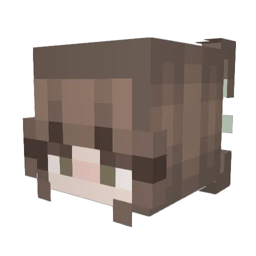 SpottyTheTurtle Minecraft avatar head, 3D render