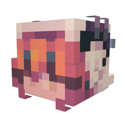 SpousalCat47111 Minecraft avatar head, 3D render