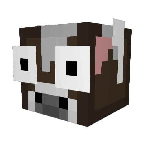 Spowlaer Minecraft avatar head, 3D render