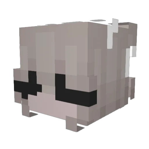 Spoxezz Minecraft avatar head, 3D render