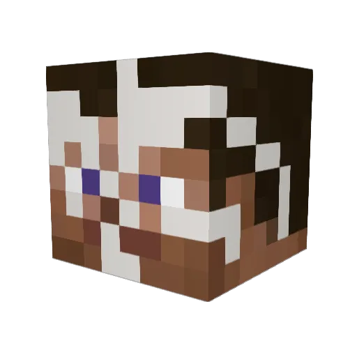 Spppppunk Minecraft avatar head, 3D render