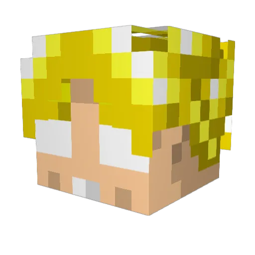 Spqrr Minecraft avatar head, 3D render