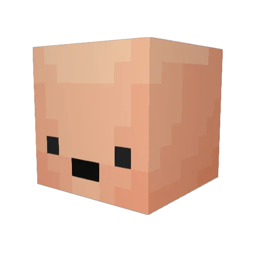 SprajtmaN Minecraft avatar head, 3D render