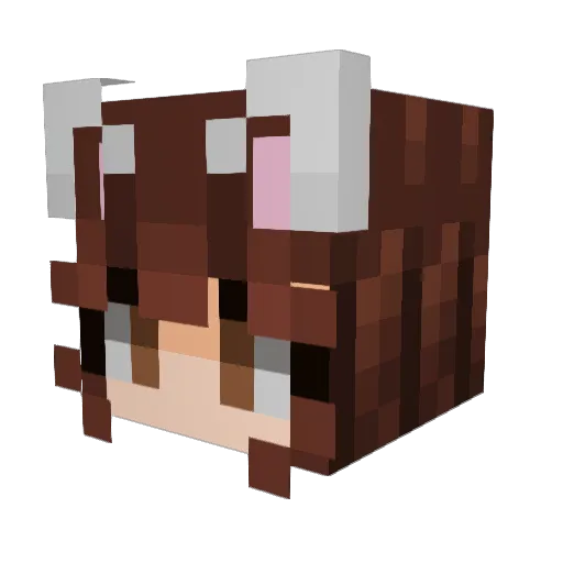 Spranktonn Minecraft avatar head, 3D render
