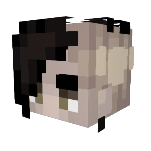 SpreadMeLikeJam Minecraft avatar head, 3D render