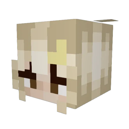Spresso_ Minecraft avatar head, 3D render
