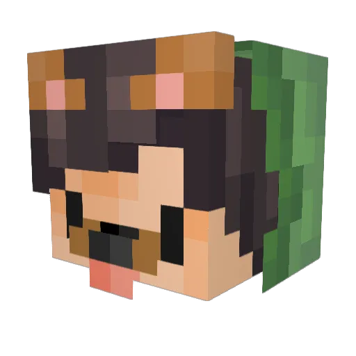 SprigPlantar Minecraft avatar head, 3D render