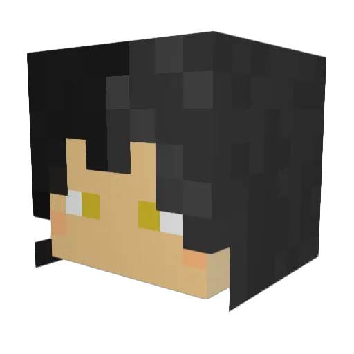 SpringBag1 Minecraft avatar head, 3D render