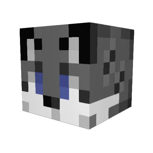 SpringFriend535 Minecraft avatar head, 3D render